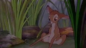 Bambi (Dumbo) Trailer