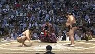 The real sumo fighting