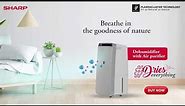SHARP Dehumidifier with Air Purifier I Patented Plasmacluster Technology I