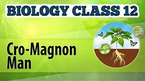 Cro-Magnon Man - Origin and Evolution of Life - Biology Class 12