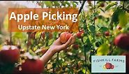 Apple Picking Upstate New York #ExploreWithKirti