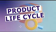 Product Life Cycle in marketing