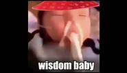 Wisdom baby meme song