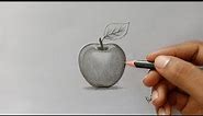 How to draw a realistic apple by pencil for beginners | Blending and shading | Easy way of drawing