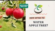 🍎🍀 How Often to Water Apple Tree? Expert Advice for Juicier Fruits.