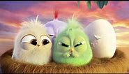 A Mother's Day Message from the Hatchlings of THE ANGRY BIRDS MOVIE