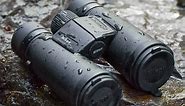 Nikon Monarch Binoculars Comparison Review (2024)