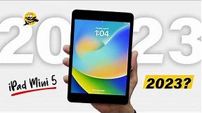 iPad Mini 5 in 2023 - Still Worth Buying?
