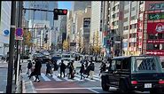 Akihabara to Shinjuku | Walking Across Central Tokyo