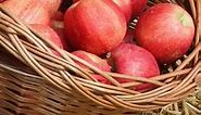 How Much Is a Peck of Apples - Weight, Size, Price, and Facts!