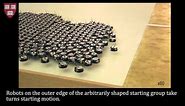 Programmable self-assembly in a thousand-robot swarm