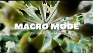 iPhone 14 Pro Max Macro Mode 4K 60fps