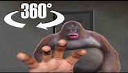 360° le monke breaks into your house and terrorizes you with his poop (ORIGINAL)