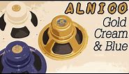 Celestion Alnico Shootout: Gold, Cream & Blue (in Dr Z DB4)