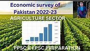 Economic survey of Pakistan 2022-23 (Agriculture sector) || Agriculture performance