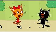 Kid-E-Cats | The Day Of The Black Cat - Episode 41 | Cartoons for kids