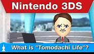 Nintendo's upcoming new 3DS game: the heck did we just watch?