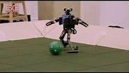 Google DeepMind Demos AI Training Robots to Play Soccer / Football