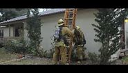 Engine Company - Ladders