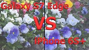 Galaxy S7 Edge vs iPhone 6s Plus - Video Camera Test!