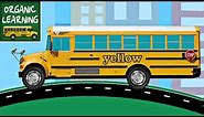 School Buses Teaching Colors - Learning Colours Video for Kids