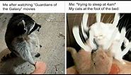 Memes That Pet Owners Everywhere Might Relate To