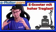 E-Scooter mit hoher Tragkraft