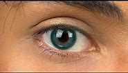 Dark Blue Colored Contact Lenses | Miami Blue by Anesthesia USA