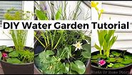 DIY Water Garden In a Pot - How to Make a Container Water Garden - Grow Water Lily in Pot