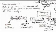 Homeostasis(Part-1)