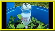 Soda Bottle Watering System For Growing Plants In Containers