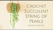 Free Crochet Succulent Pattern - String of Pearls | Moara Crochet