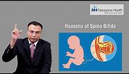 What is Spina Bifida | Dr. Anurag Saxena