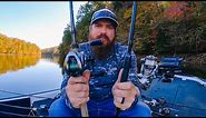 Top 5 Rods For Bass Fishing - Beginners And Advanced!