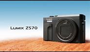 Panasonic - LUMIX Point and Shoot - DC-ZS70 - Features and Specifications