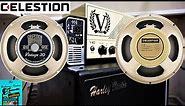 Celestion Vintage 30 vs. G12H-75 Creamback - Victory V40 Amp and Harley Benton G112 Vintage Cabinet