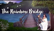 The Rainbow Bridge | Pet Memorial | Remembering Maya - A Tribute to Our Beloved Cat