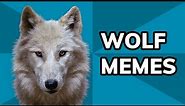 How Wolves Dominate The Meme World, From DeviantArt To "Three Wolf Moon" | Meme History