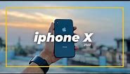 iPhone x camera test in 2023 | dev