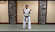 Uechi Ryu Sanchin Kata - Basic Study Guide