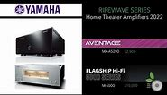 Yamaha Amplifiers 2022 - MX-A5200, M-5000