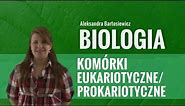 Biologia - Komórki eukariotyczne i prokariotyczne