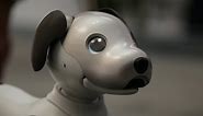 Meet Aibo, the robot dog from Sony
