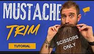 Mustache Trim Tutorial - Scissors Only!