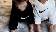 "We received these Nike hoodies from @yorkies.gram and we love the black and white hoodies its very simple and classic" 👌🏼 Get Yours Now, link in our bio ⬆️ | Yorkies Gram