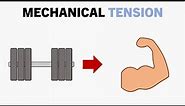 What is Mechanical Tension?