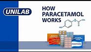 How Medicine Works: Paracetamol
