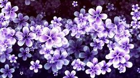 Hundreds of Moving Purple Flowers | 4K Relaxing Screensaver