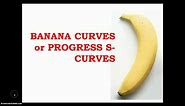 What is Project S-Curve and how to generate Banana Curves?
