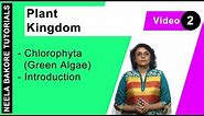 Plant Kingdom | NEET | Chlorophyta Green Algae - Introduction | Neela Bakore Tutorials